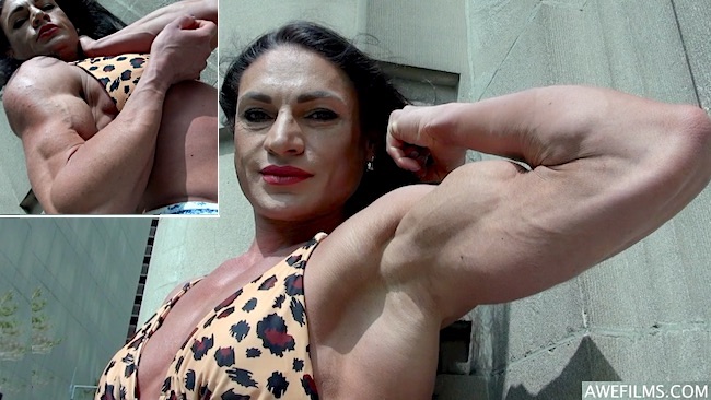 Diana Schnaidt
