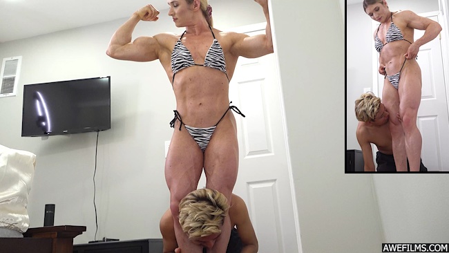 Peaks & Pecs