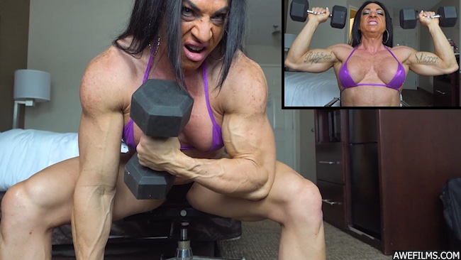She Muscle vs Solid Steel 1