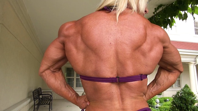 Vascular Muscle Flex 3