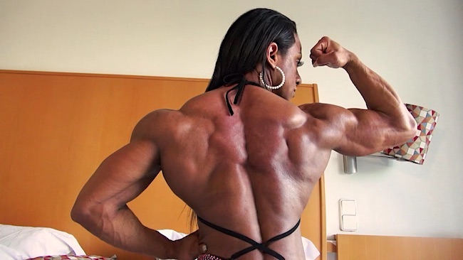 Shredded Hard Flex Lisbon 1